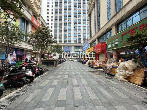 南宁西乡塘北大路华西商业城市中心 一房一厅 精装修配齐 拎包入住