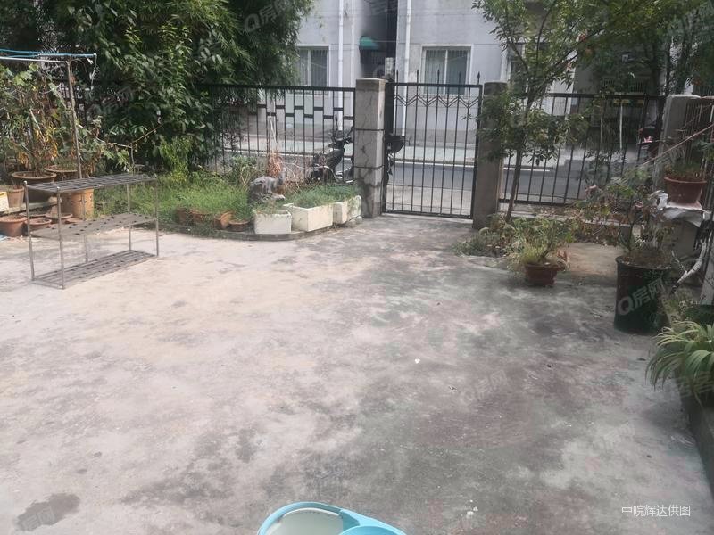 新上好房桐江新村一楼大院子采光好随时看房主急售