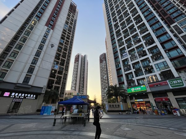 深圳南山西丽冠铭花园西丽茶光 万科云城旁 冠铭花园精装5房 可按要求