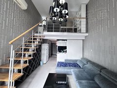 公园天下 一室一厅 精装修 loft 丰庆公园地铁口
