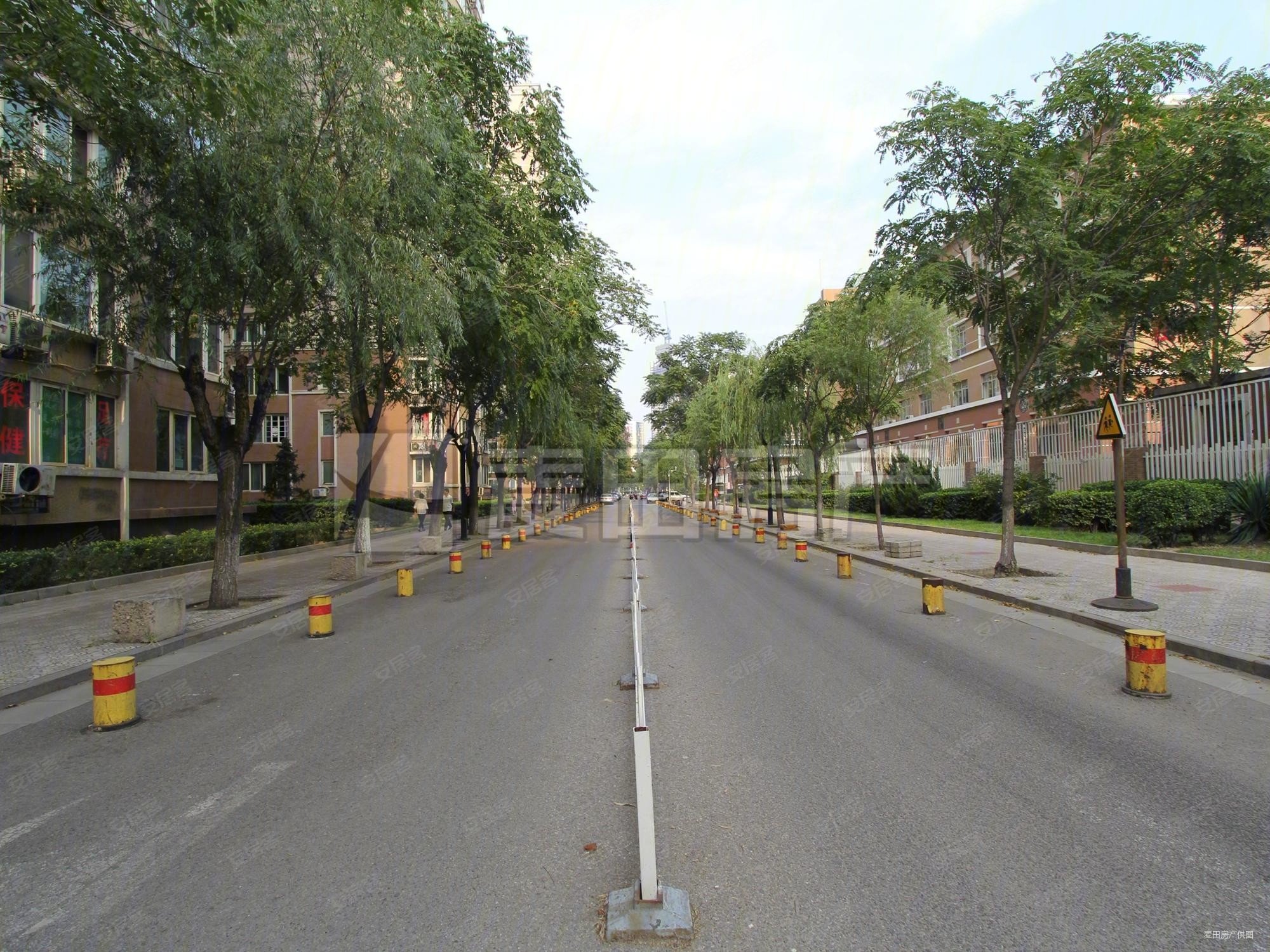 望京西园三区新出总高12层板楼2居室