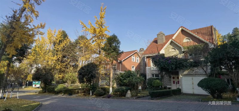 四个车位,维也纳森林别墅二手房,585万,4室2厅,4卫,351平米-成都安居