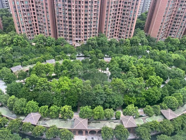 广州番禺番禺广场东湖洲花园b区出租 电梯高层4房 南北通透 房东打扫