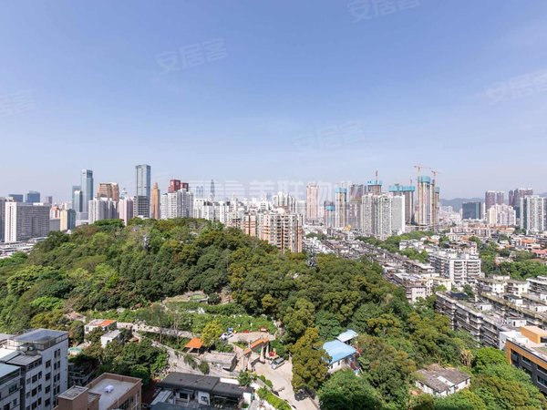 深圳罗湖黄贝岭深业东岭黄贝岭地铁口物业,楼下商业配套完善,随时看房