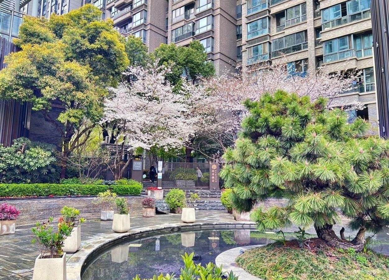 刚降价210w丨苏河融景丨李佳琪同款丨苏州河景观房丨人车分流