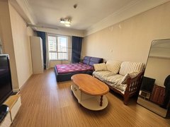 银川兴庆丽景街蓝泰广场  玺云台精装公寓出租随时看房出租房源真实图片