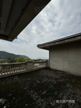 花园3亩 独栋别墅 石材干挂 超低密度 超低密度 产权清晰,南苑钱湖四