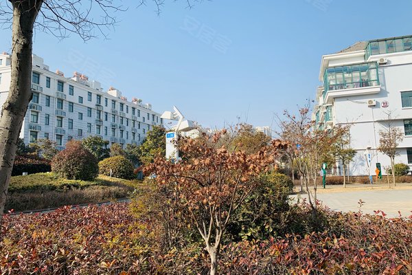 连云港小区 赣榆小区 赣榆小区 金海岸花园 金海岸花园怎么样