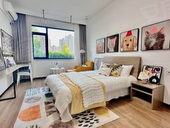 新乡红旗红旗周边无中介！急租！宝龙广场附近。带网络。随时看房 带厨房暖气。！出租房源真实图片