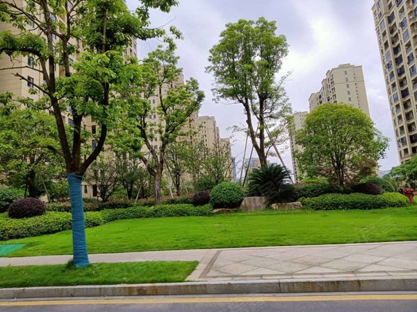 九江濂溪九江学院怡和苑二期有宽带!可短租!