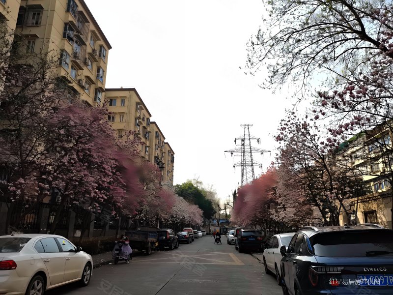 武汉房产网>武汉二手房>洪山二手房>街道口二手房>竹苑小区东区>800