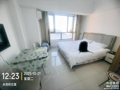 四平铁西仁兴押一付一吾悦广场1000出租房源真实图片