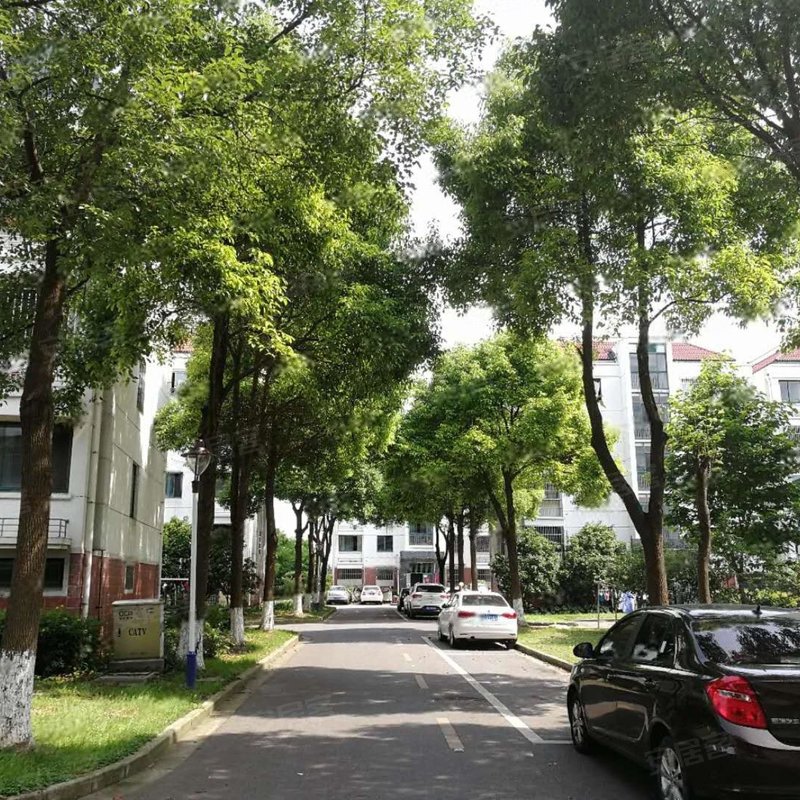 【丽水湾, 丽水湾小区详情,房价走势,房源,业主论坛】- 上海58同城