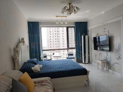 第一次出租 华海城 52平 精装一居室 设施齐全 拎包即住