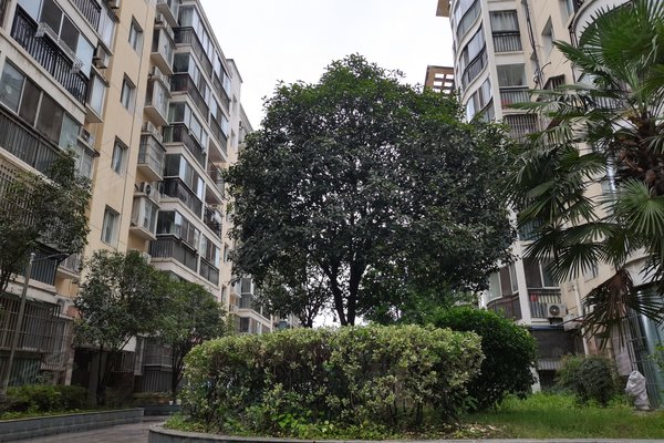 龙腾花园,武当路40号-十堰龙腾花园二手房,租房-十堰安居客