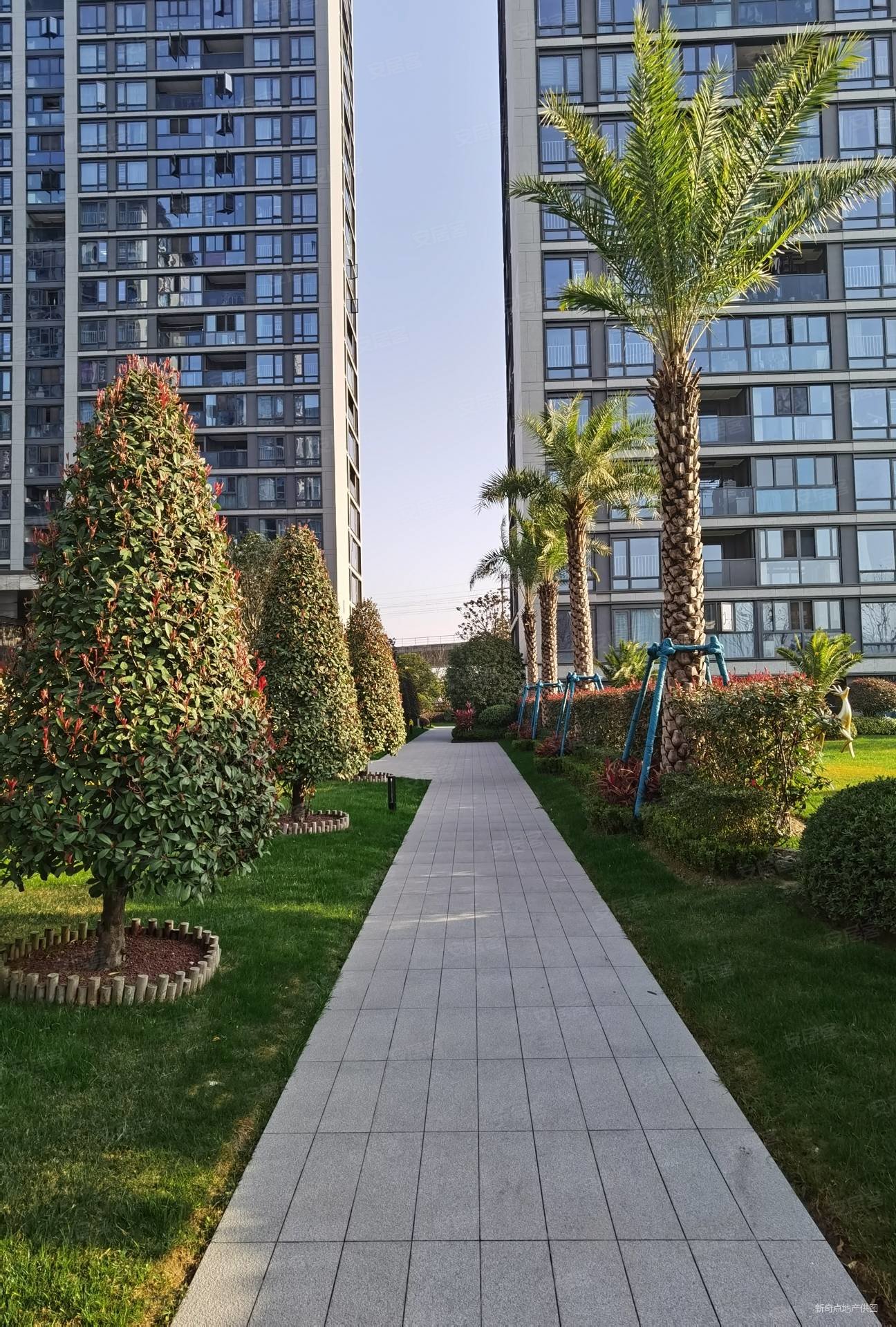 tod科技城 名都苑温州之翼天空之城 专做 在售258套,tod温州之翼二手