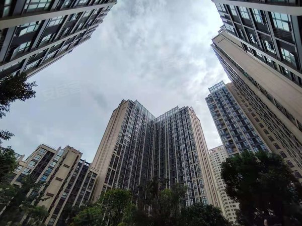 深圳坪山坪山龙光玖云著坪山河湿地公园,创新广场,比亚迪,家私全齐