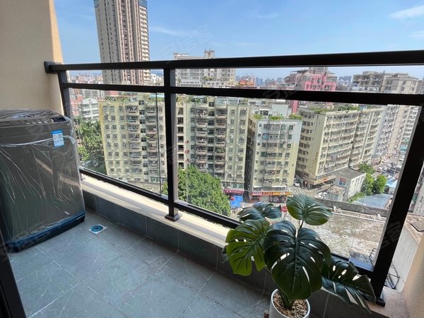 深圳布吉长龙长龙新村长龙新村 精装单间一房带阳台1300可押一付一