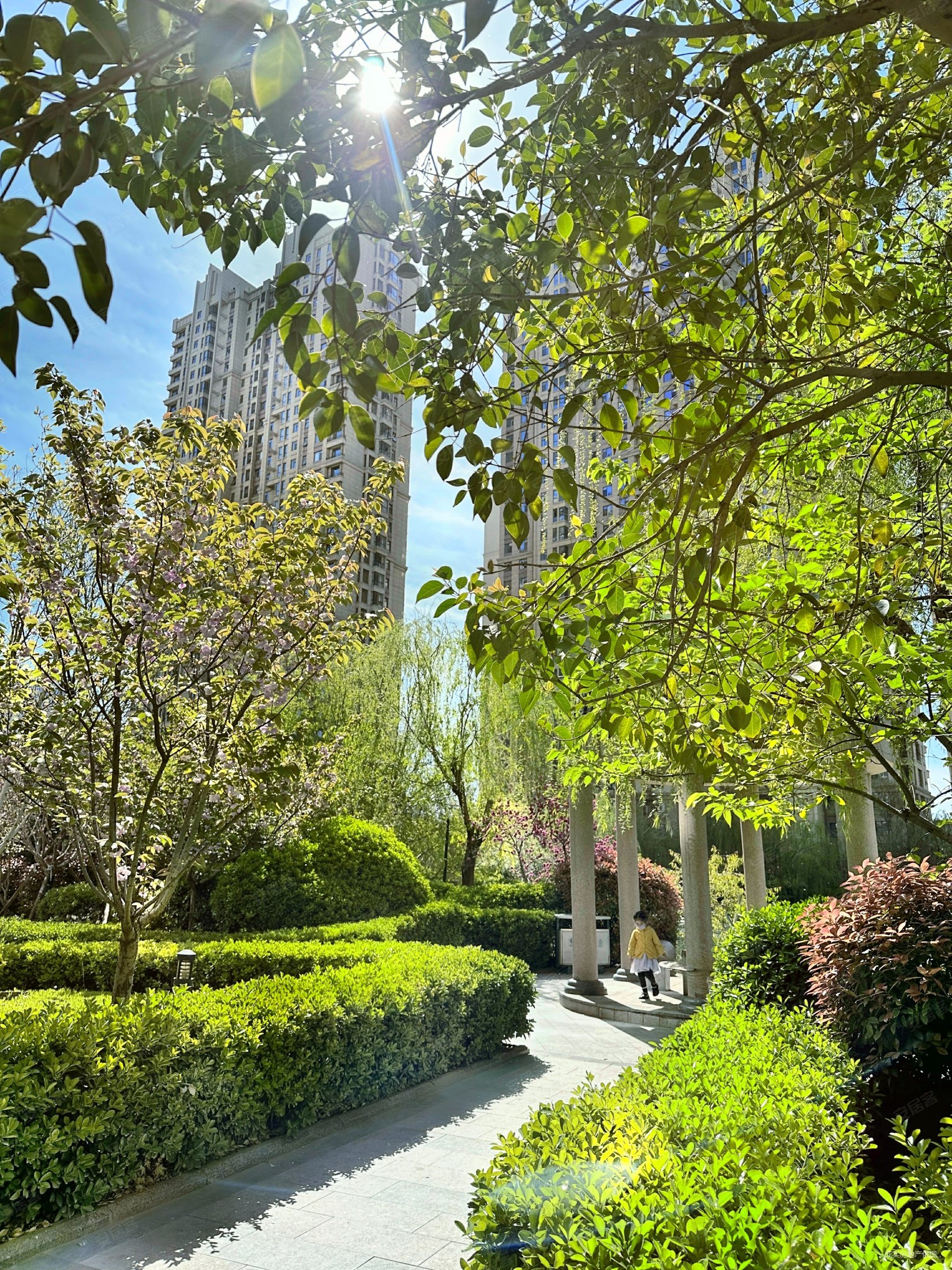 泰丰观湖 小区中间楼栋 挑高3.