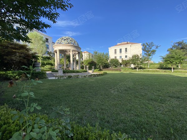 青岛李沧绿城绿城理想之城熙园(东区)超大客厅 电梯洋房 首1次出租