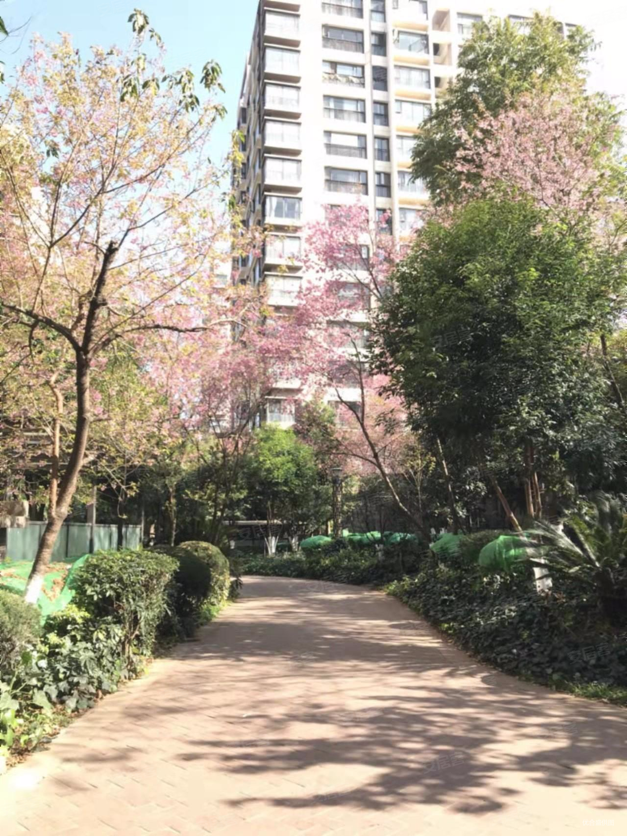 大商汇儿童医院旁光辉城市周边配套成熟楼下就是沃尔玛随时看房