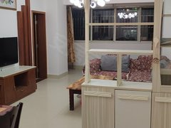 达州达川三里坪南外领域广场原装电梯精装2房仅租709月出租房源真实图片