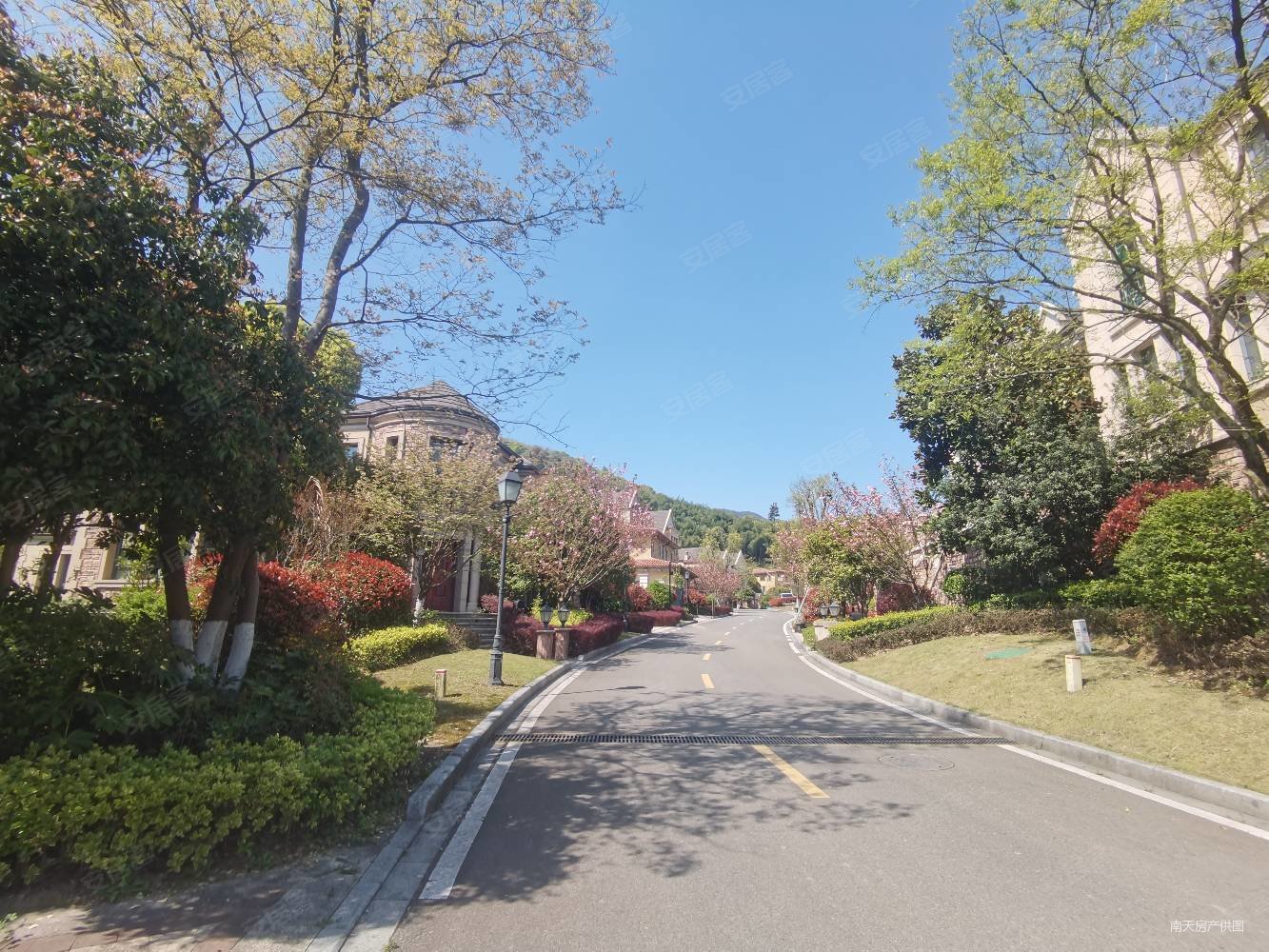 小区专家九龙湖独栋别墅带大花园大泳池有钥匙