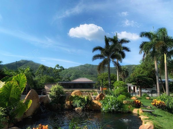 广州越秀二沙岛越秀宏城花园广州牛皮的独栋庄园别墅喜欢你就来出租