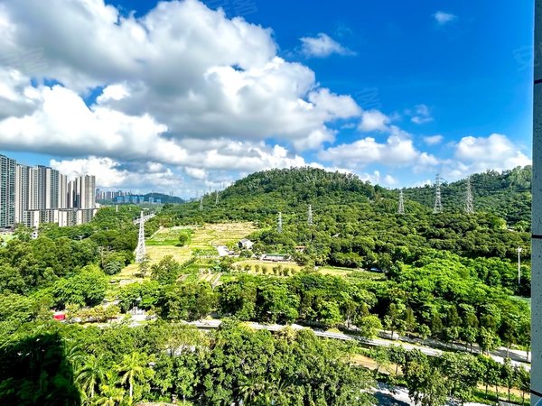 深圳宝安固戍凤凰岗村12号线豪华装修超大单间毕业生优惠折扣独栋无