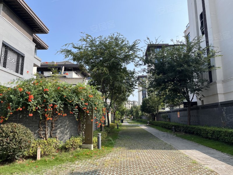 黄州书院 商品住宅 南北通透 电梯房 中间好楼层 次新小区