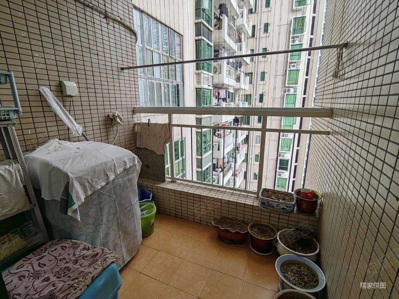 环岛丽园 满五   交通便捷 商品房 医疗配套成熟 电梯房