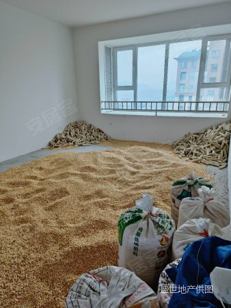 西下高庄村3室2厅2卫120㎡南北55万