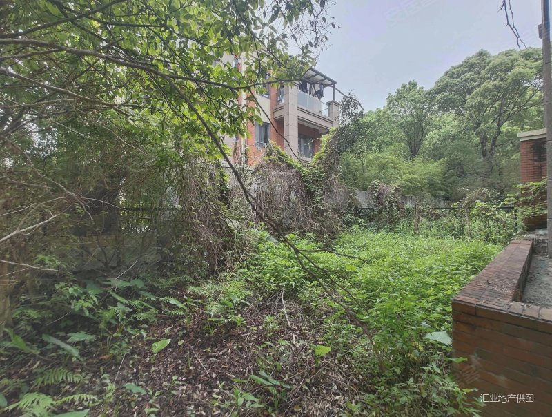 东莞房产网>东莞二手房>寮步二手房>汽车东站二手房>鼎峰尚境(别墅)>