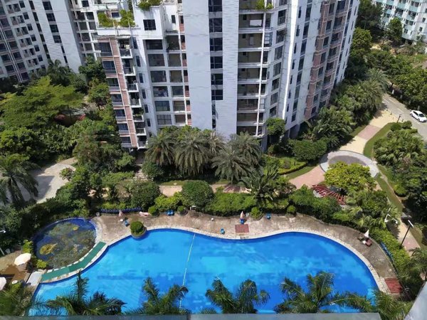 深圳龙岗宝龙蓝钻风景蓝钻风景温馨单间,家私电器全齐,朝南看花园安静