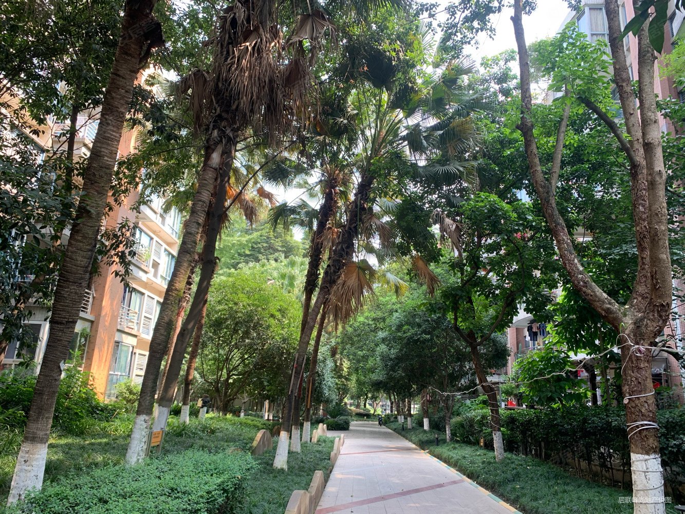 博瑞都市花园3室2厅2卫120㎡东西285万