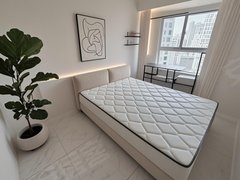 徐州云龙新淮中心云龙万达广场 无中介费 南北通透 急租房源 家电齐全出租房源真实图片
