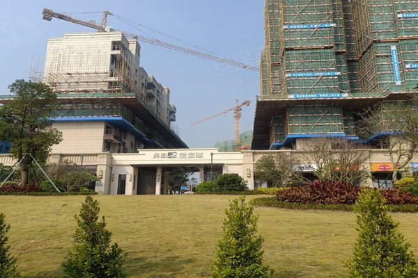 珠海二手房 奥园金坭湾 > 龙招财解读奥园金坭湾附近学校