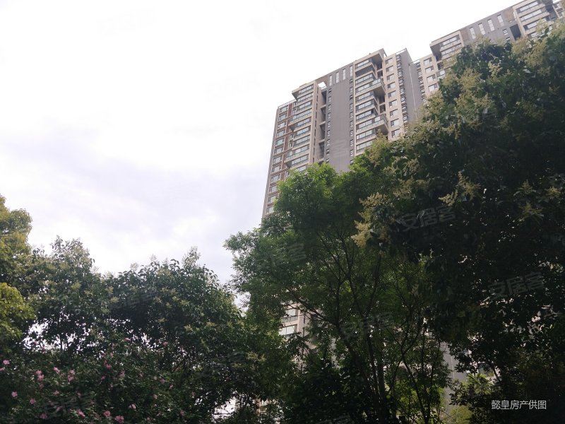 双卫 电梯房,世纪华阳(1-3期)二手房,160万,3室2厅,2卫,119平米-洛阳