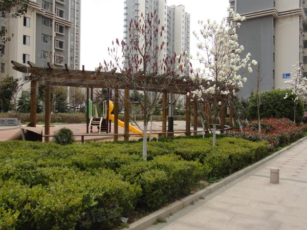 青岛崂山高科园东盛花园东盛花园 居民小区 房子如图 生活方便 浮山后