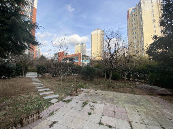 青岛崂山浮山前龙泽山庄龙泽山庄 一楼带院 花园洋房 三居室 百平花园