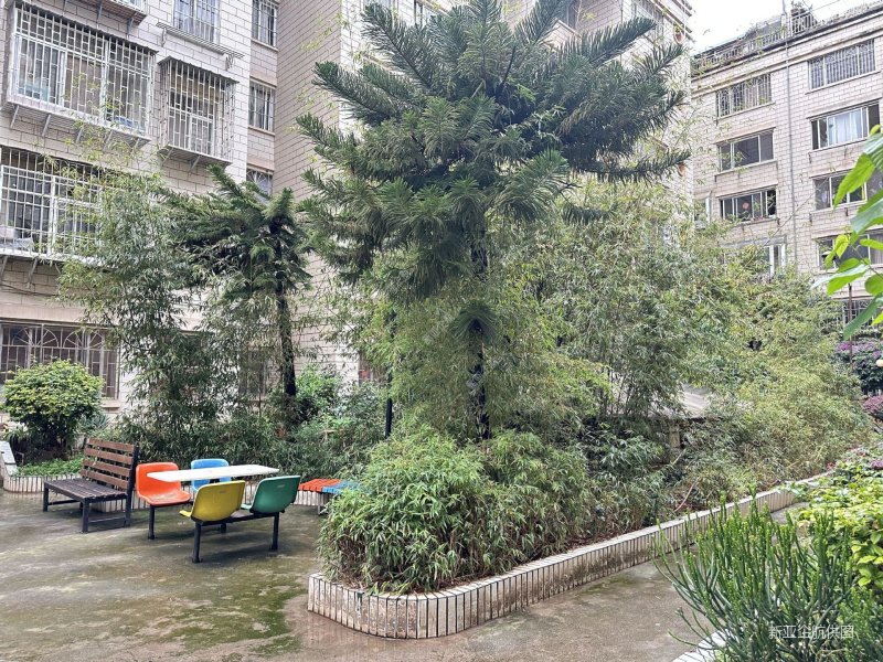 急!新上房源 兴隆小区 精装三室 西南向采光 业主诚售