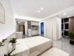 武汉江岸堤角汉口2035 采光好 拎包入住 1室1厅1卫出租房源真实图片