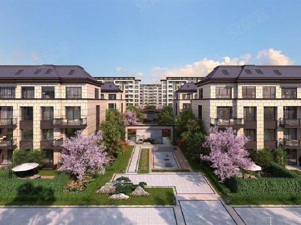 上海松江洞泾光明云庐优!