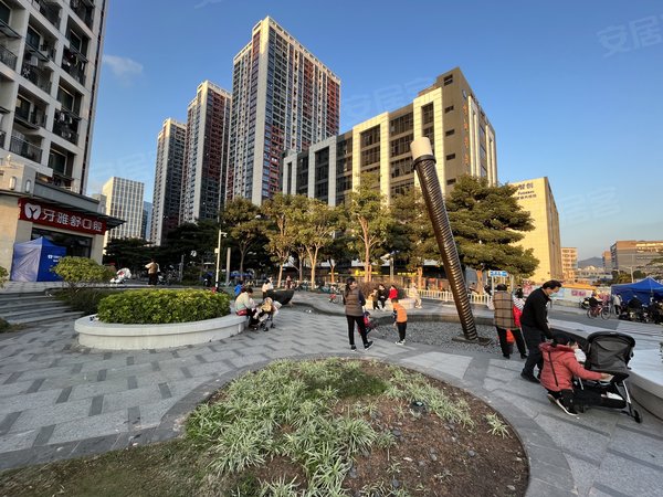 深圳南山西丽冠铭花园西丽茶光 万科云城旁 冠铭花园精装5房 可按要求