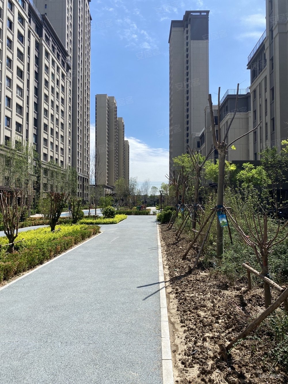 天成华境4室2厅3卫190㎡南北440万