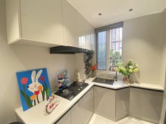 上海闵行颛桥近地铁，精装小两房，小情侣小夫妻租房，价格好谈，快来下手出租房源真实图片