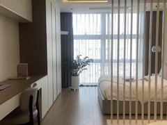 怀化鹤城城中非中介 世纪花园电梯房 温馨酒店式公寓 拎包入住 价格美丽出租房源真实图片