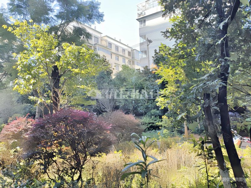 米兰国际 普装 朝向东西 2室 149平 诚心出售 价格可议