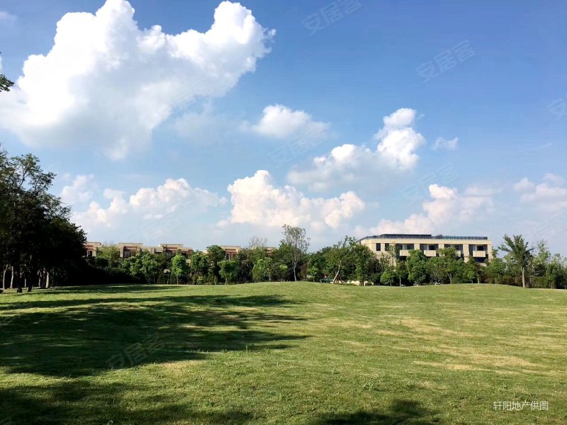淀山湖壹号 临湖独栋别墅7房 花园4亩带游泳池 出门直观湖景