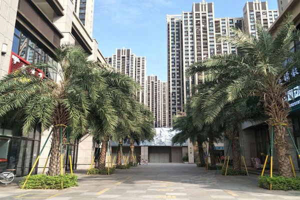 上李朗统建楼小区周边房产中介经纪人评价-深圳安居客